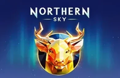 Northern Sky cover